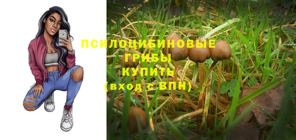 стаф Волоколамск