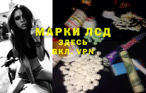 стаф Волоколамск