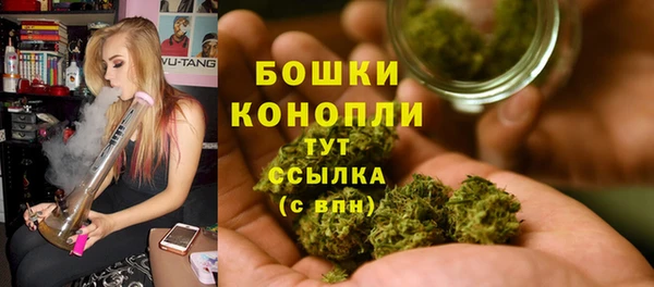 стаф Волоколамск