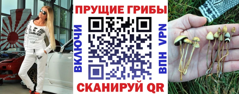Купить закладки  Краснозаводск  Псилоцибиновые грибы ЛСД 